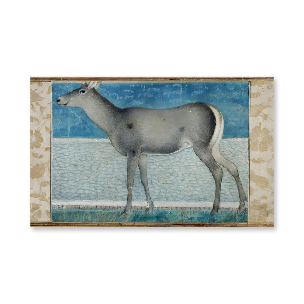 A Nilgai — a Mughal Natural History Study — view 4