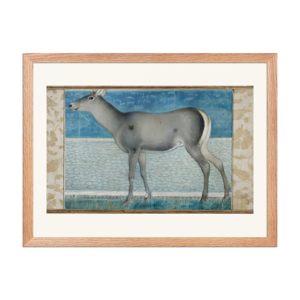 A Nilgai — a Mughal Natural History Study — view 2