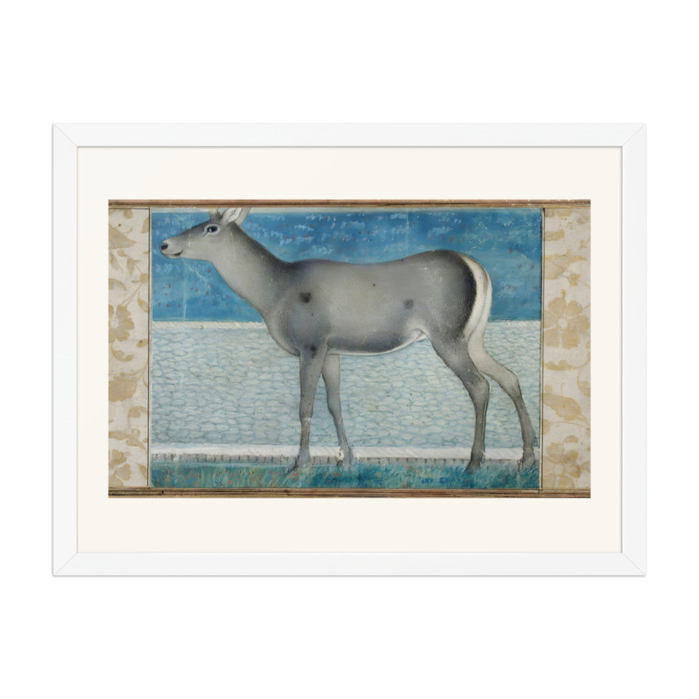 A Nilgai — a Mughal Natural History Study — view 3