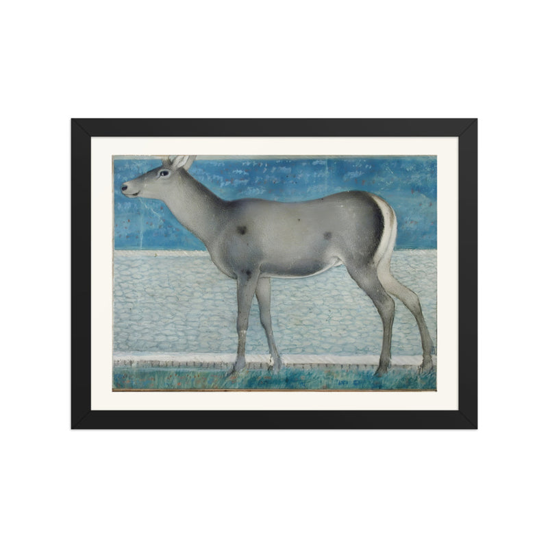A Nilgai — a Mughal Natural History Study