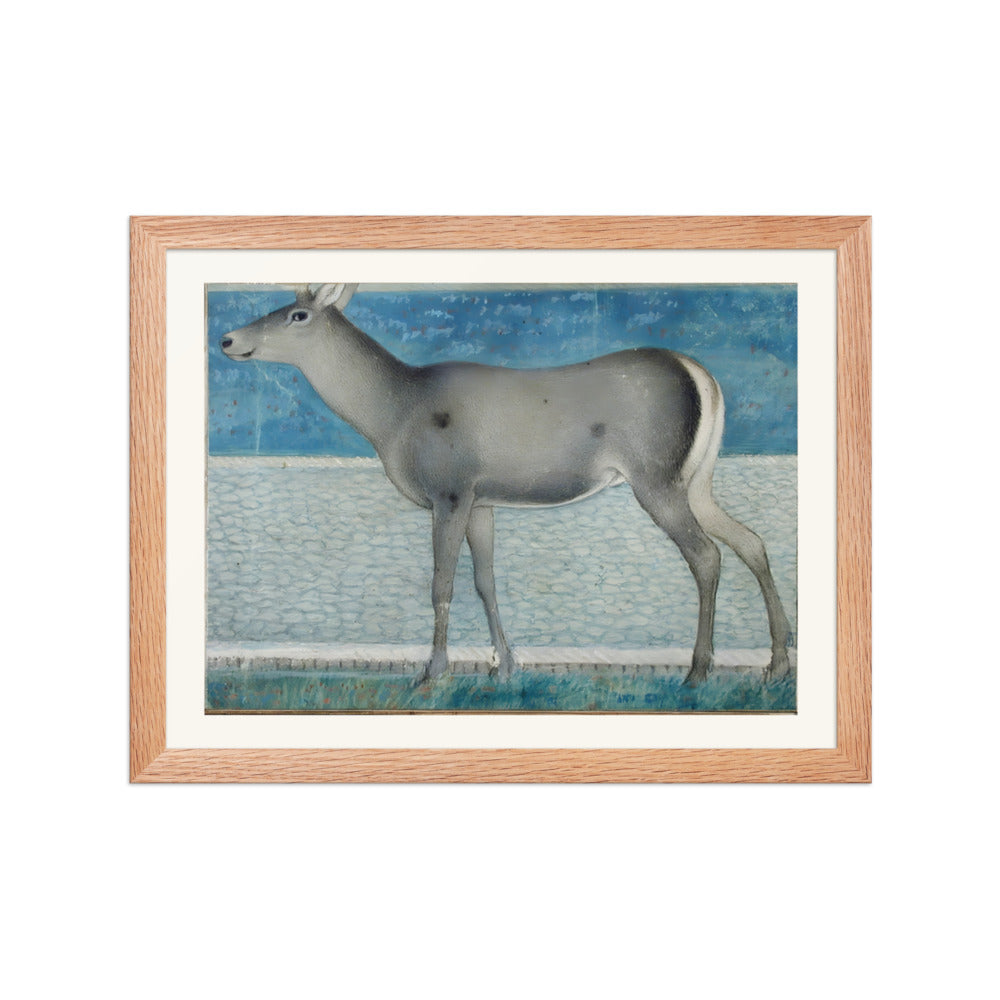 A Nilgai — a Mughal Natural History Study — view 2