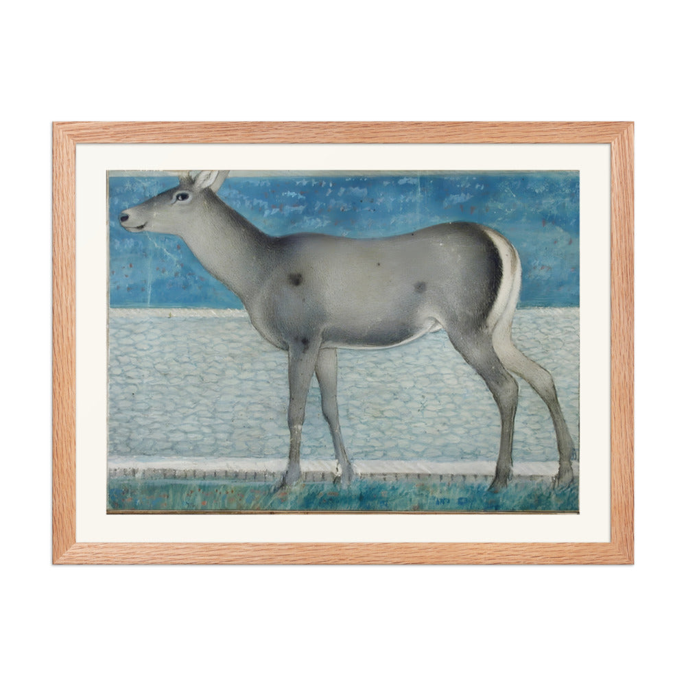 A Nilgai — a Mughal Natural History Study — view 5