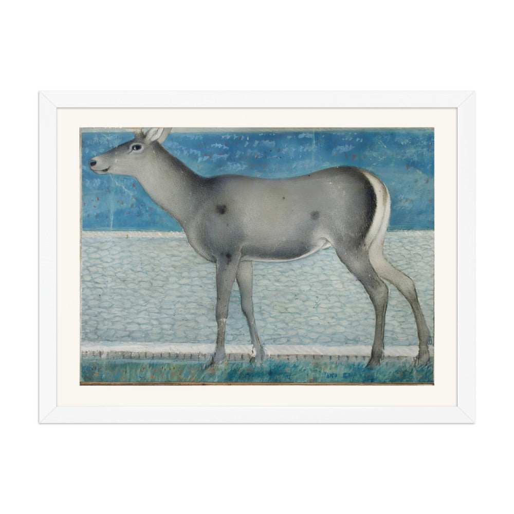 A Nilgai — a Mughal Natural History Study — view 6