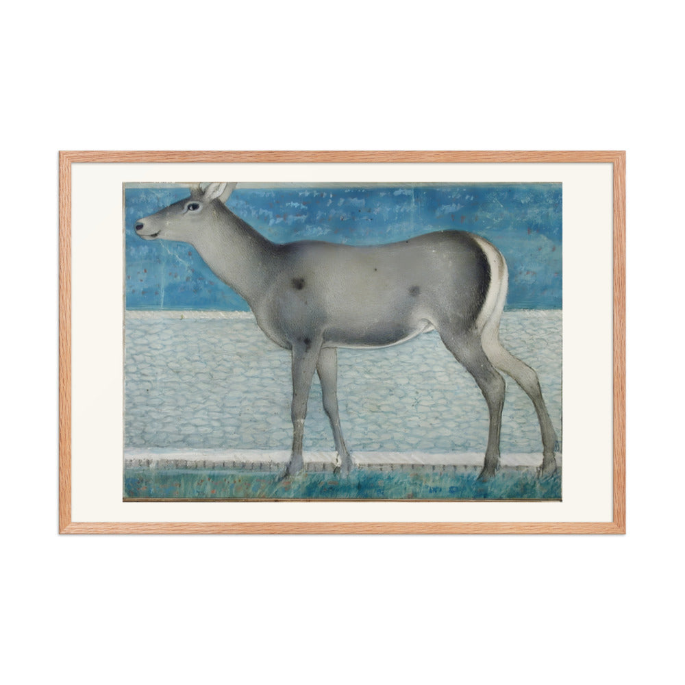 A Nilgai — a Mughal Natural History Study — view 8
