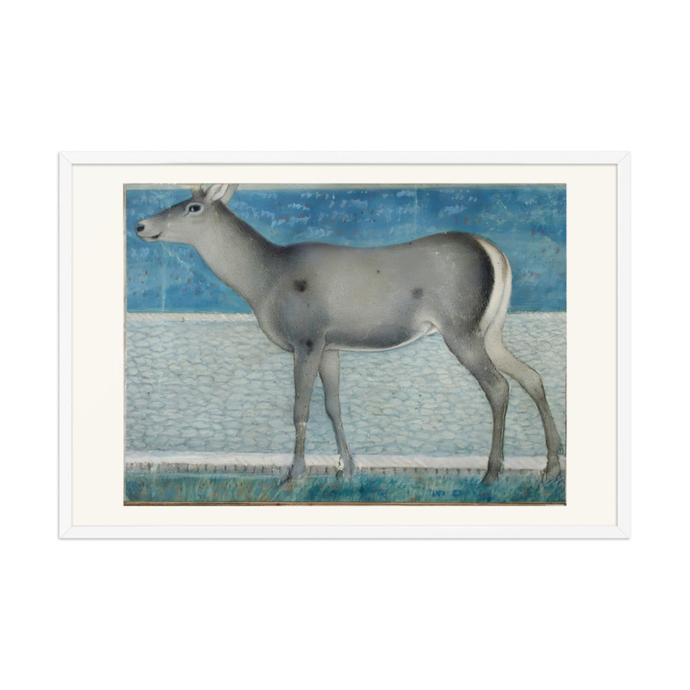 A Nilgai — a Mughal Natural History Study — view 9