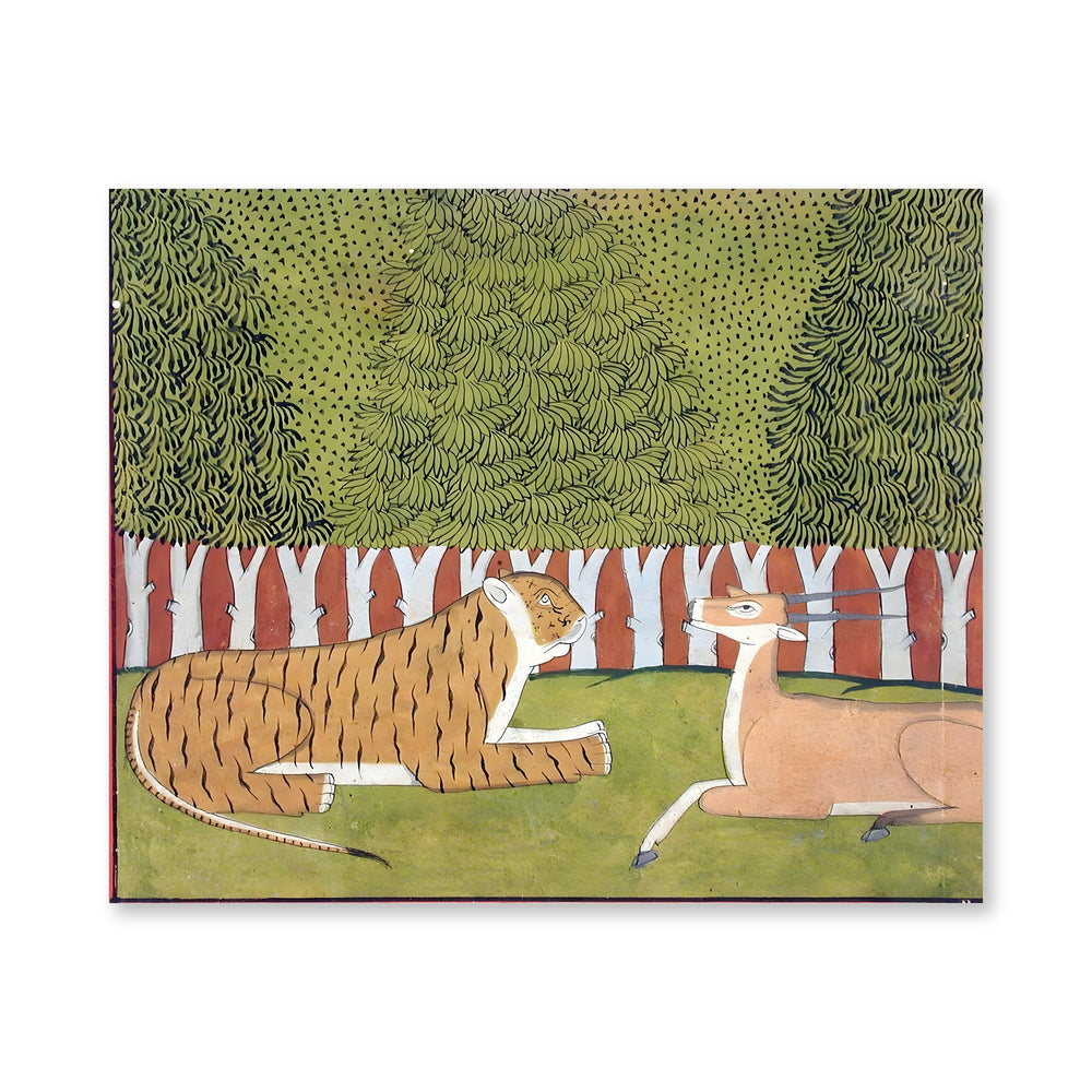 Tiger and Blackbuck — a Madhu-Malati Folio — view 4