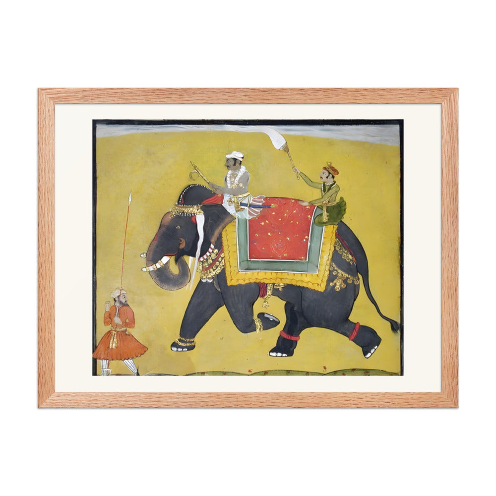 A raja riding an elephant — view 5