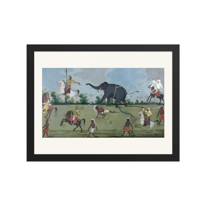 Capturing the wild elephant
