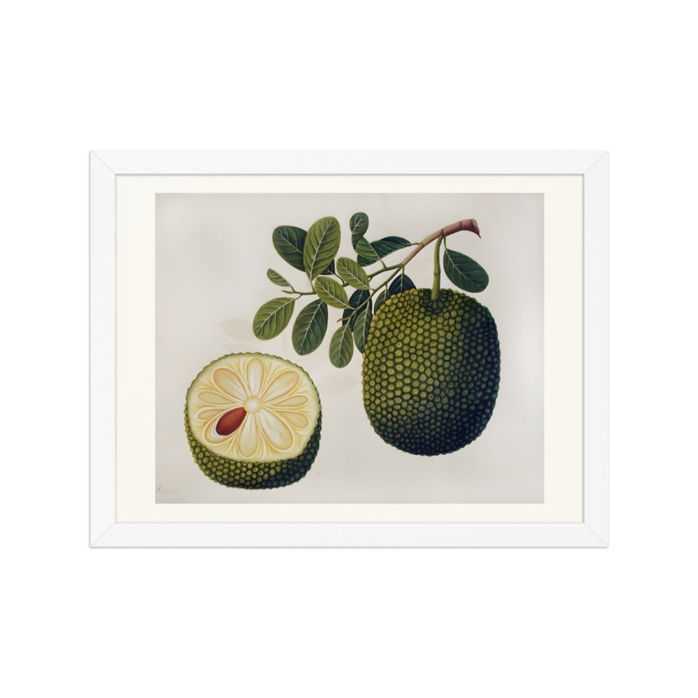 Durian Fruit and Foliage — view 3