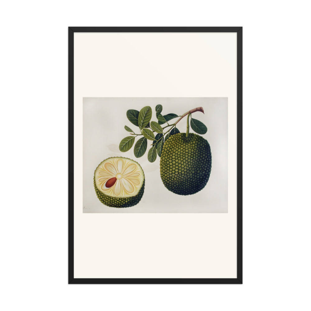 Durian Fruit and Foliage — view 7