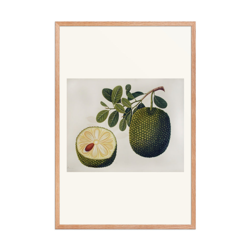 Durian Fruit and Foliage — view 8