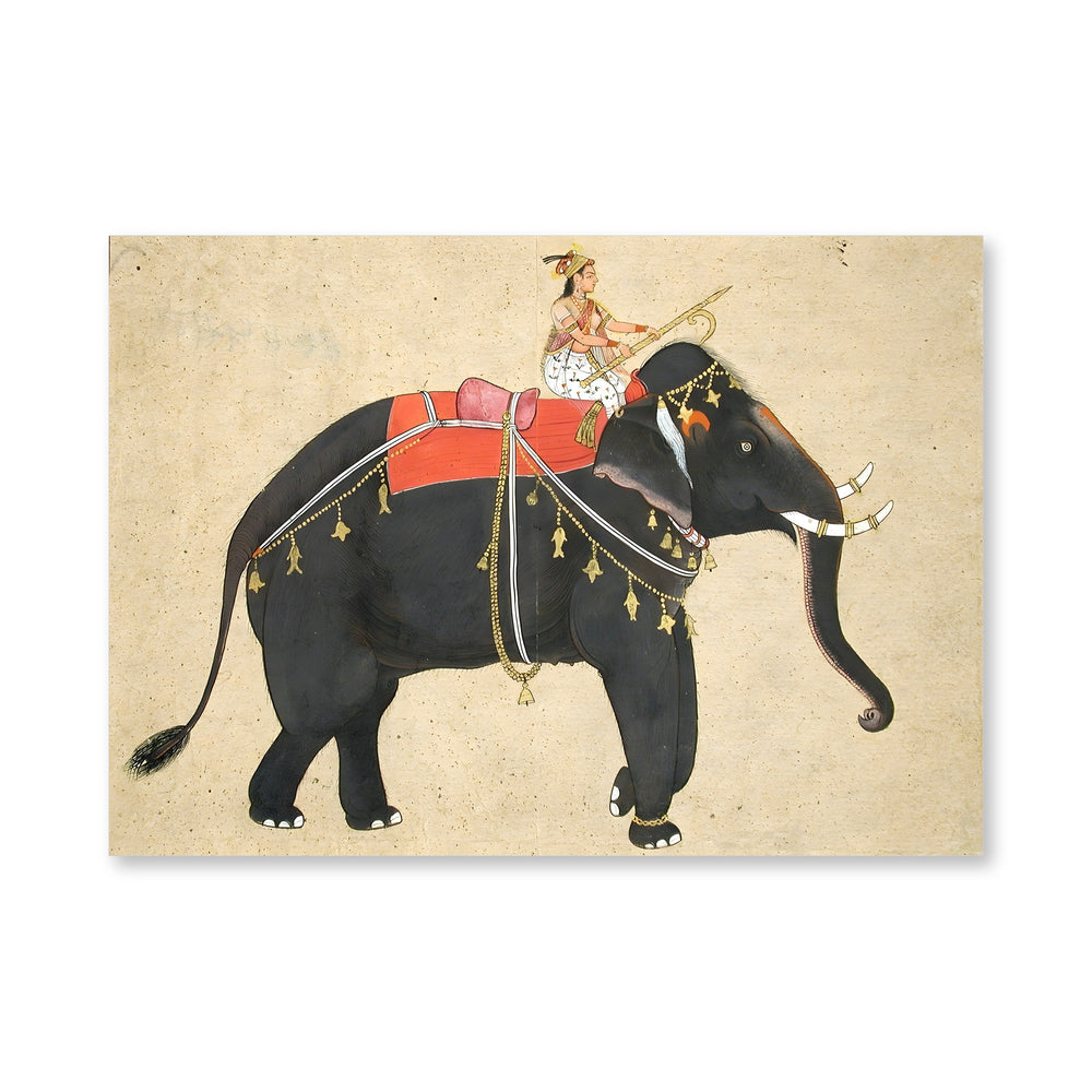 Elephant ridden by a female mahout — view 4