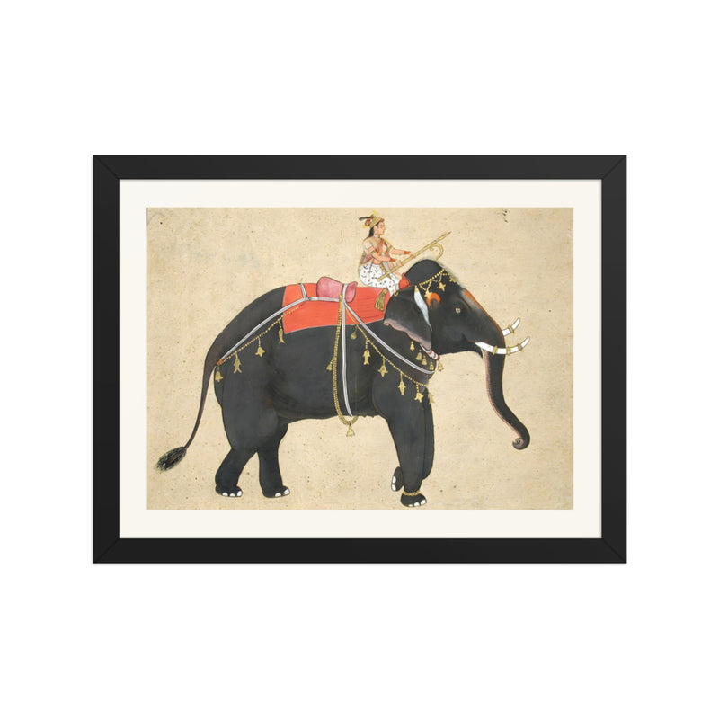 Elephant ridden by a female mahout