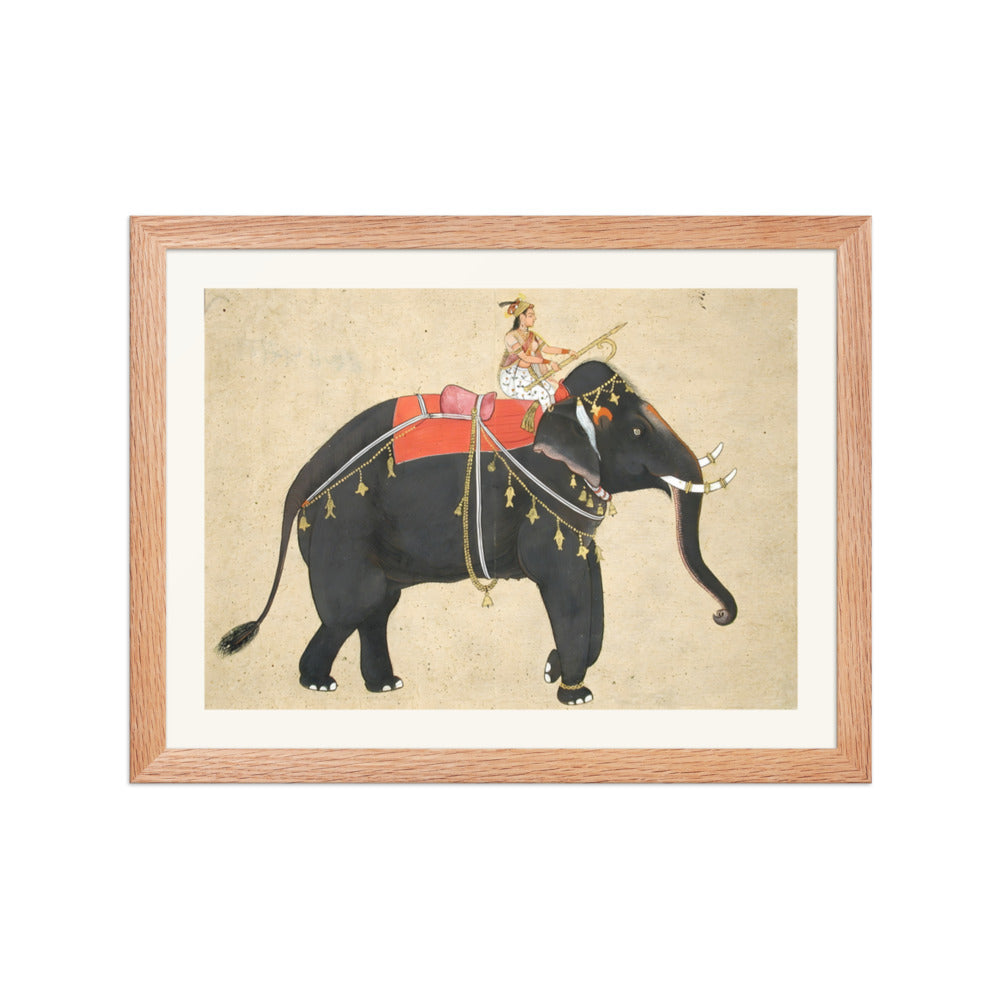 Elephant ridden by a female mahout — view 2