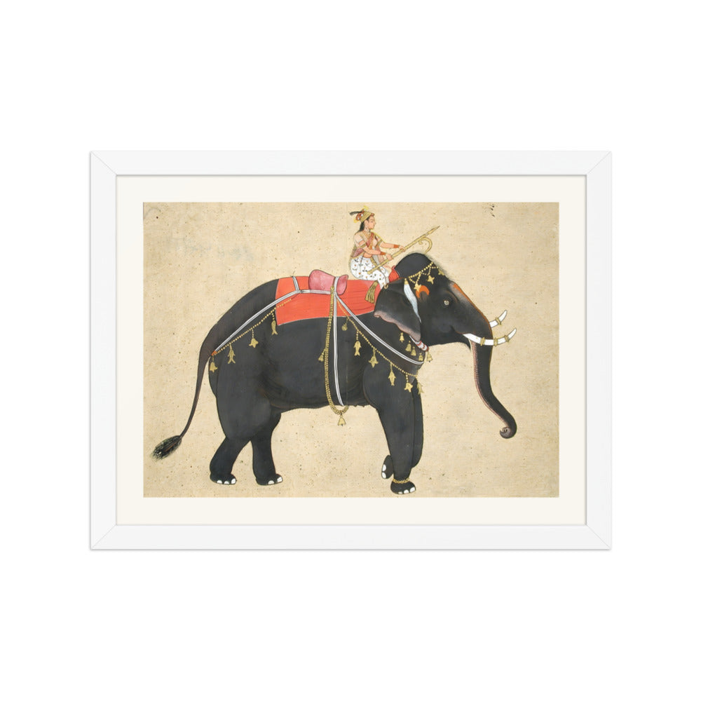 Elephant ridden by a female mahout — view 3