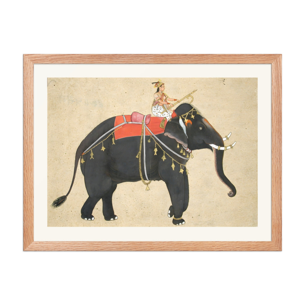 Elephant ridden by a female mahout — view 5