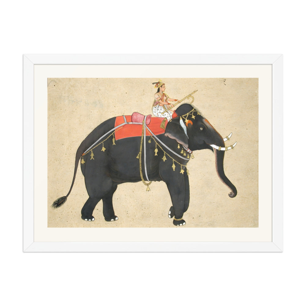 Elephant ridden by a female mahout — view 6