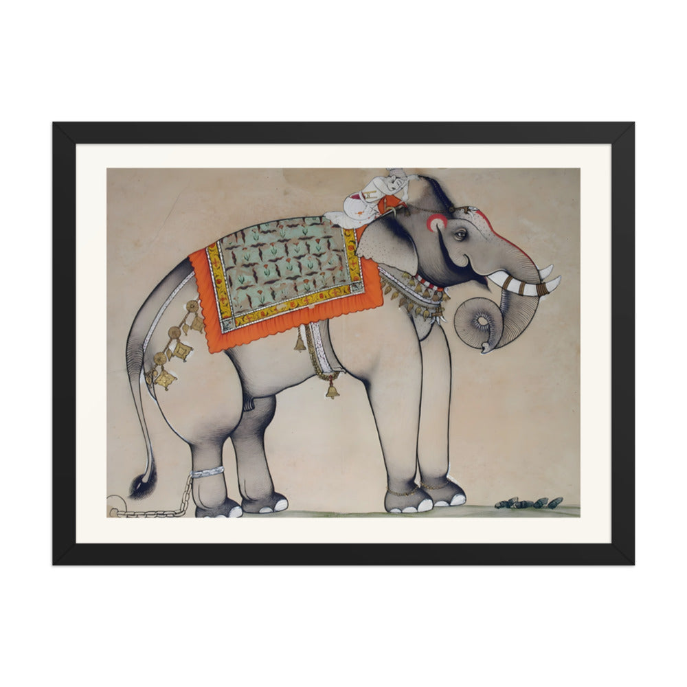 Elephant with a sleeping mahout — view 4