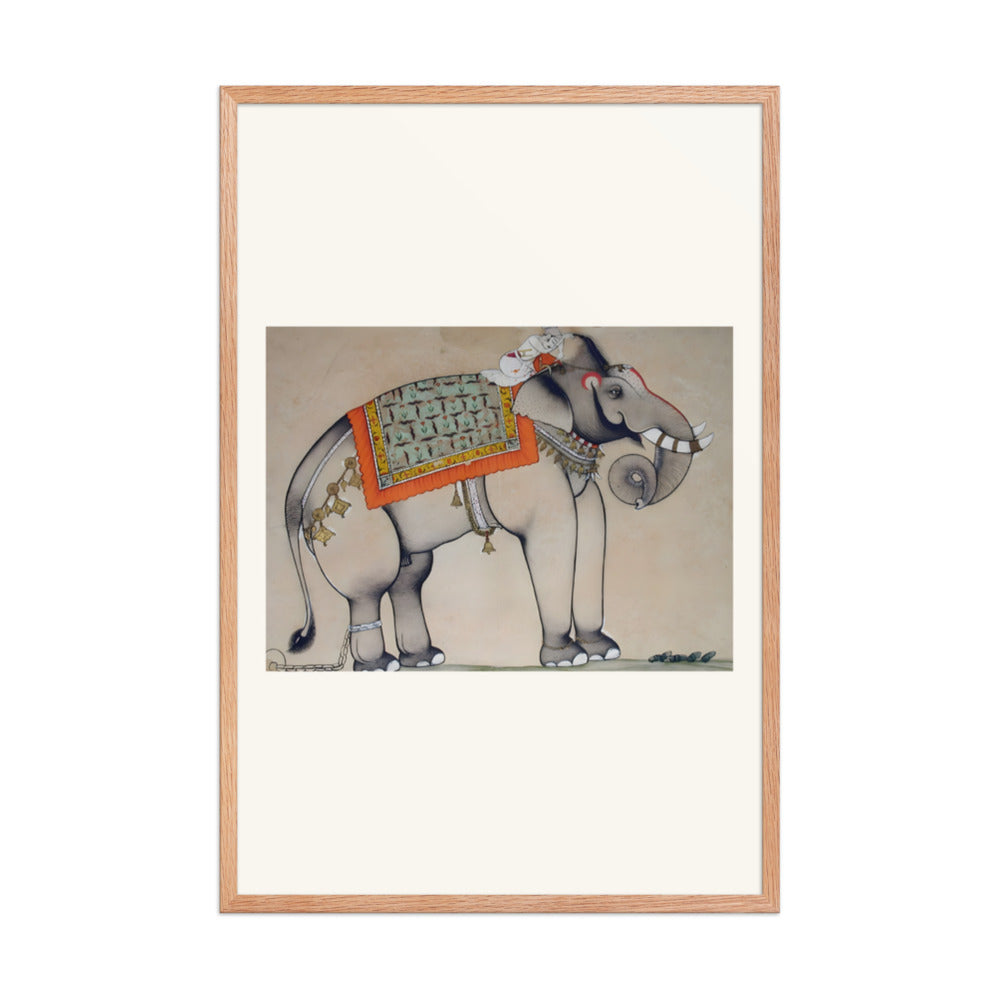 Elephant with a sleeping mahout — view 8
