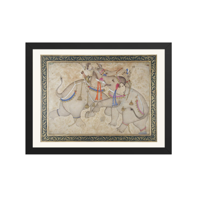 Elephants and Riders in Combat