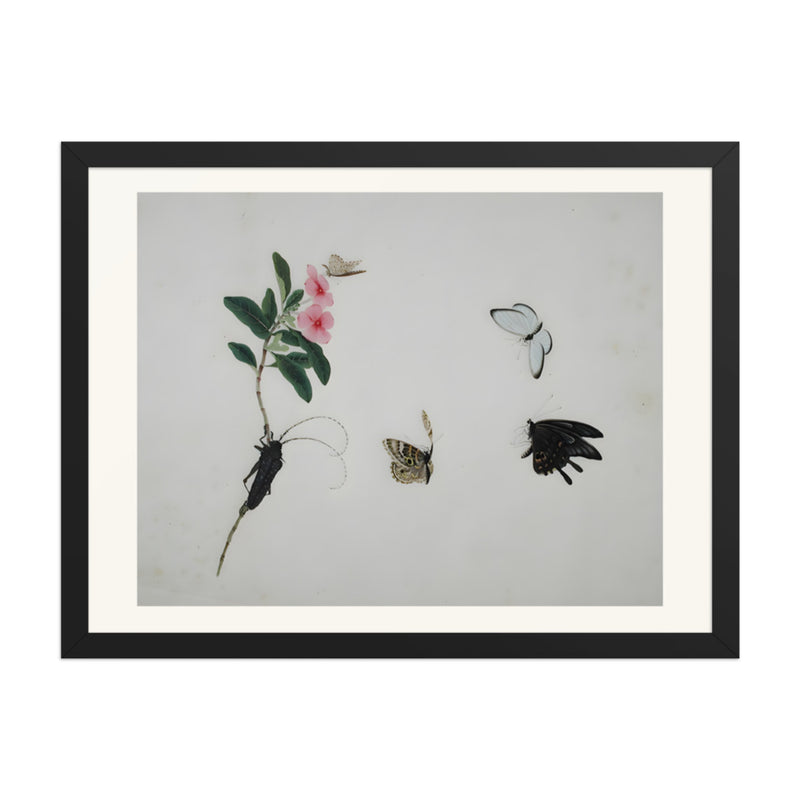 Flowering stalk with a beetle and three butterflies