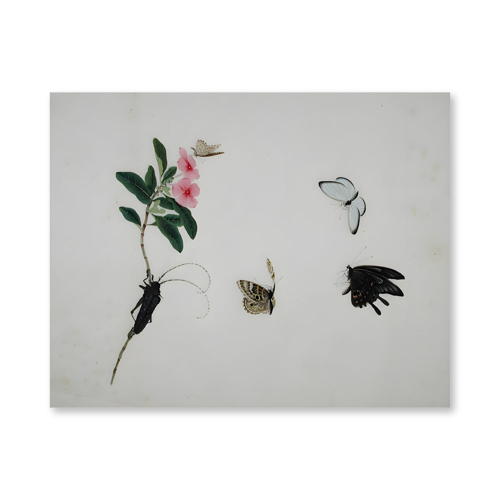Flowering stalk with a beetle and three butterflies — view 4