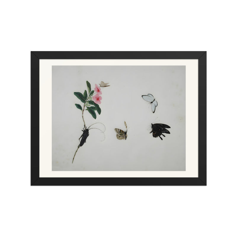 Flowering stalk with a beetle and three butterflies