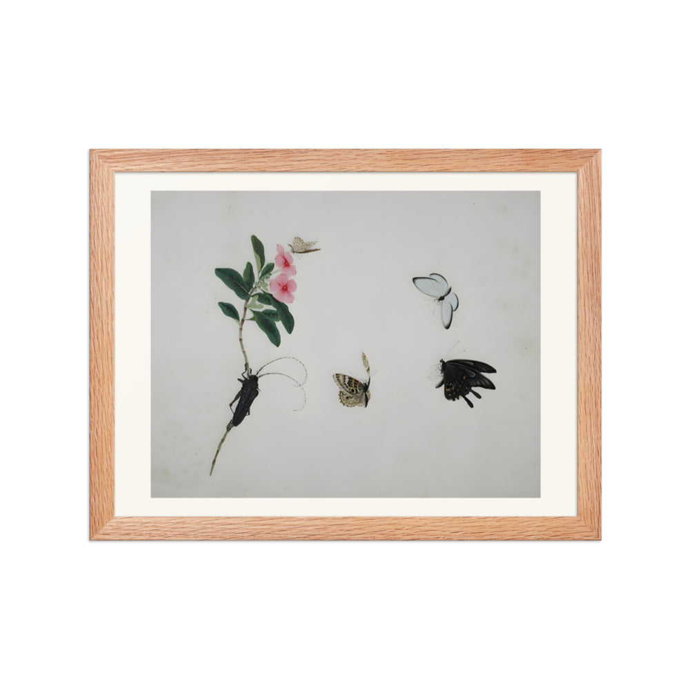 Flowering stalk with a beetle and three butterflies — view 2