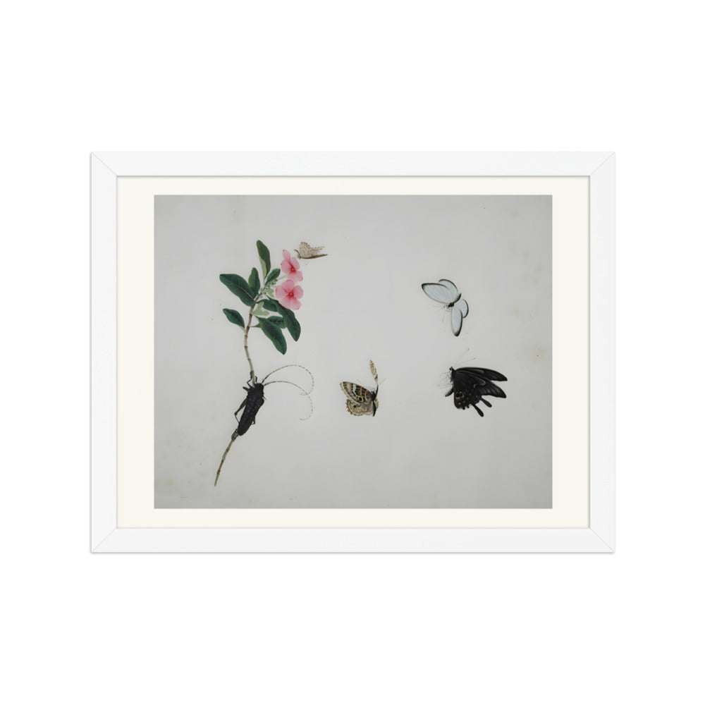 Flowering stalk with a beetle and three butterflies — view 3