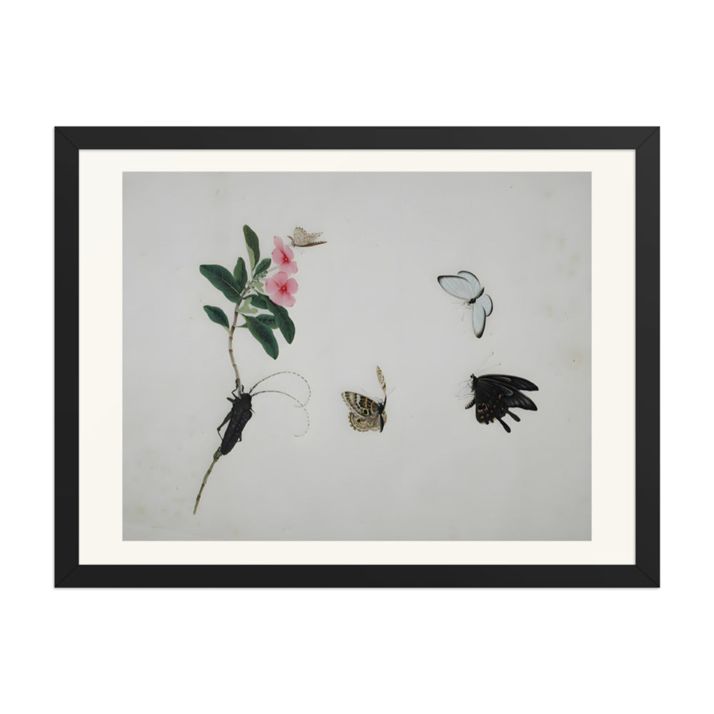 Flowering stalk with a beetle and three butterflies — view 4