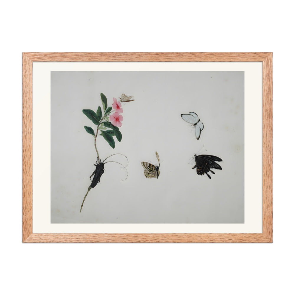 Flowering stalk with a beetle and three butterflies — view 5