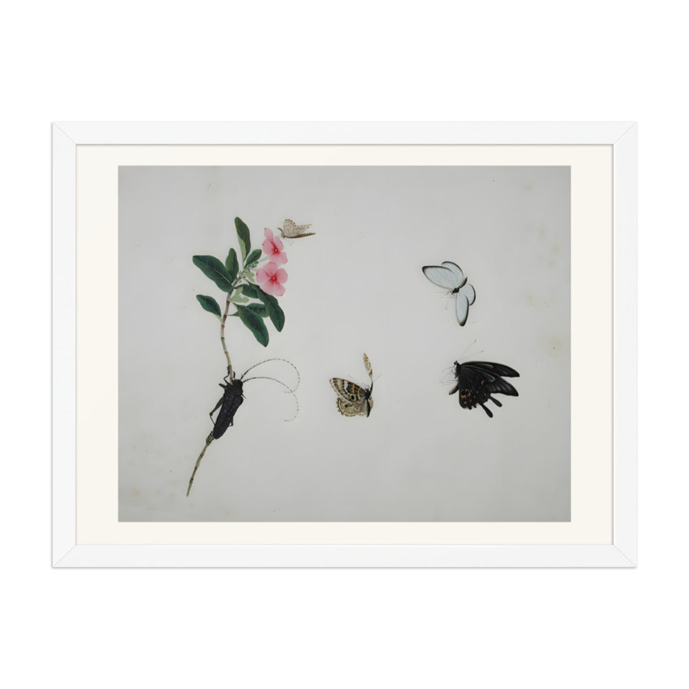 Flowering stalk with a beetle and three butterflies — view 6
