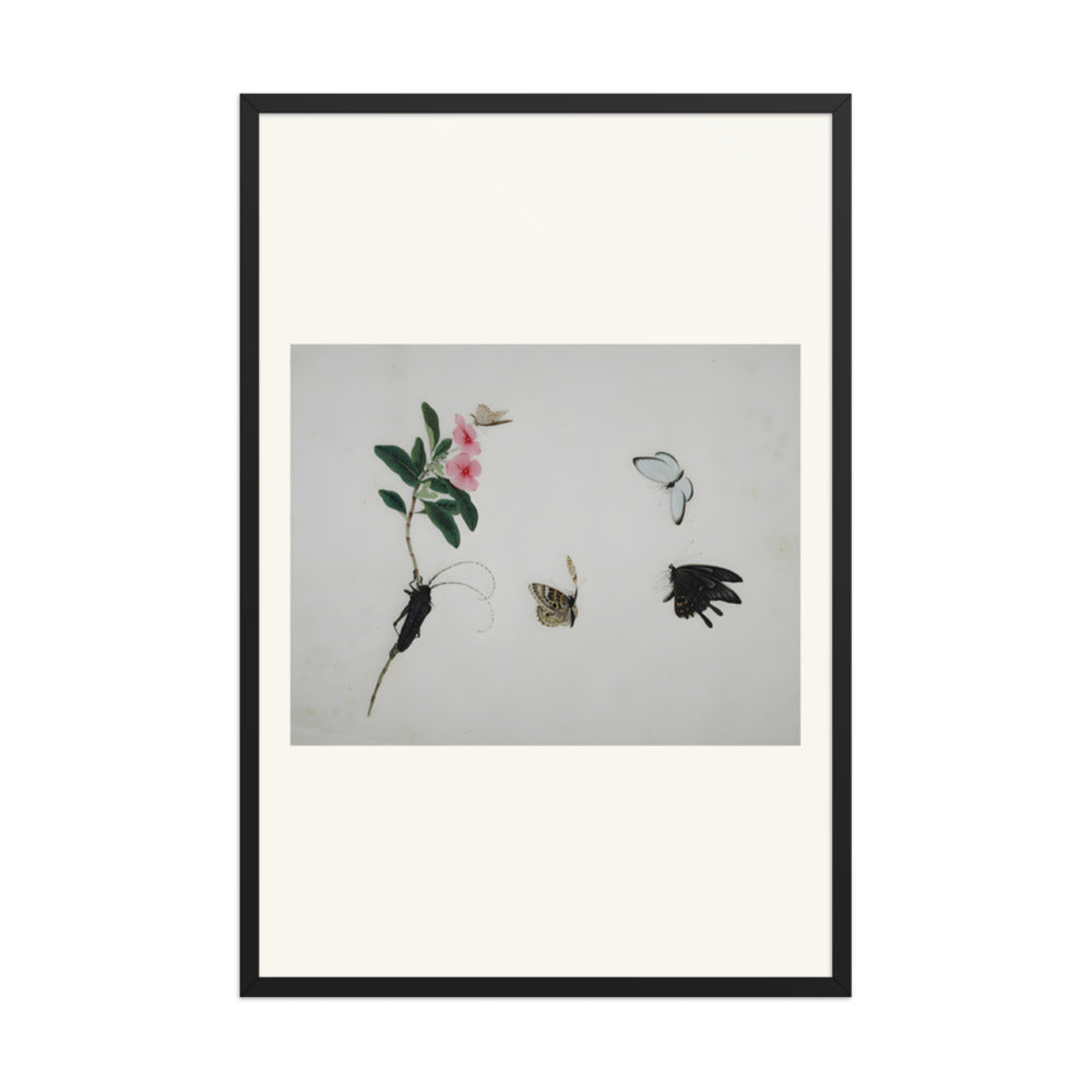 Flowering stalk with a beetle and three butterflies — view 7