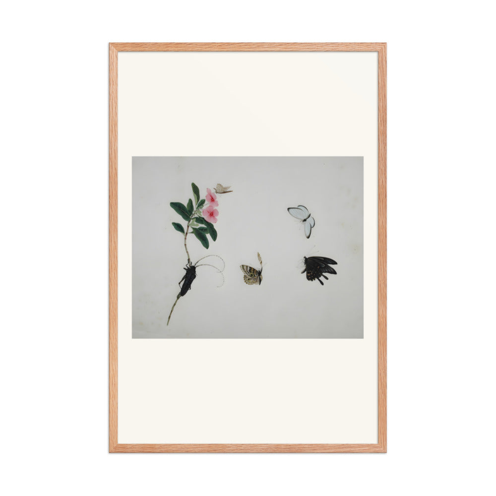 Flowering stalk with a beetle and three butterflies — view 8