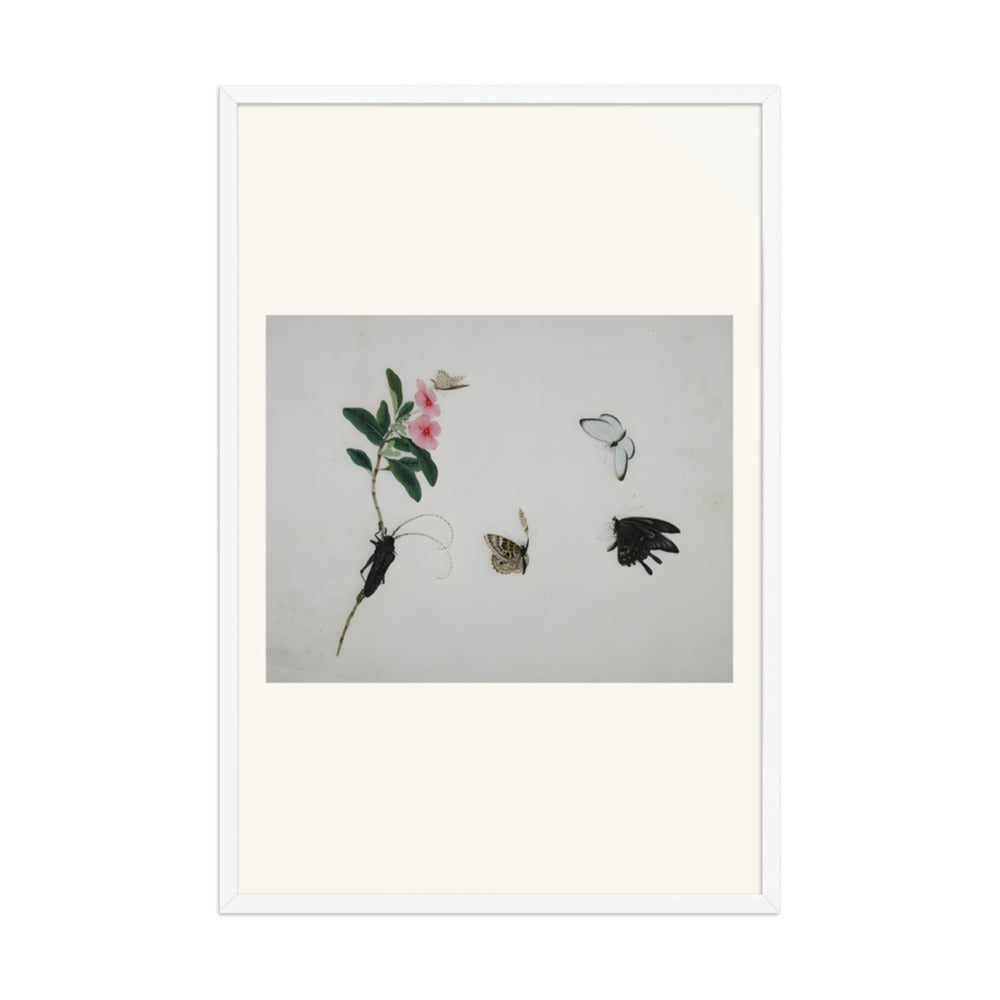 Flowering stalk with a beetle and three butterflies — view 9