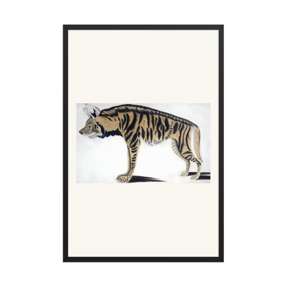 Hyena — view 7