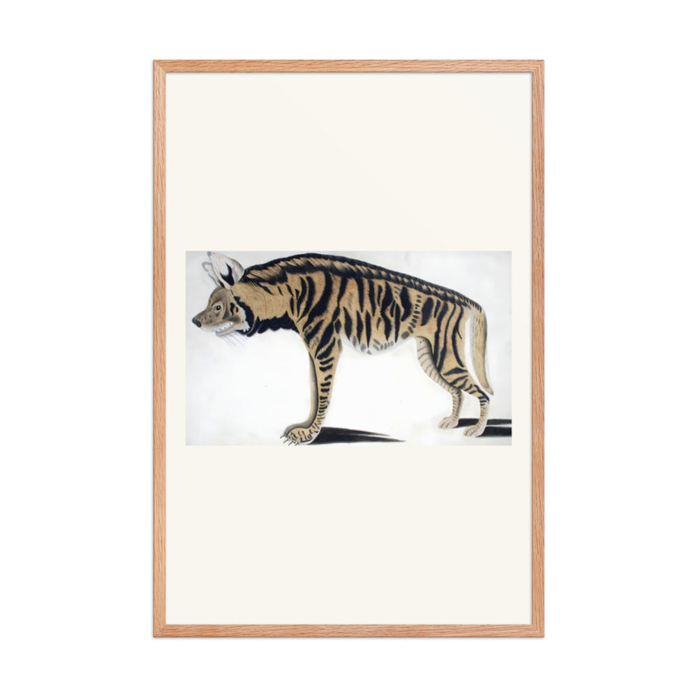 Hyena — view 8