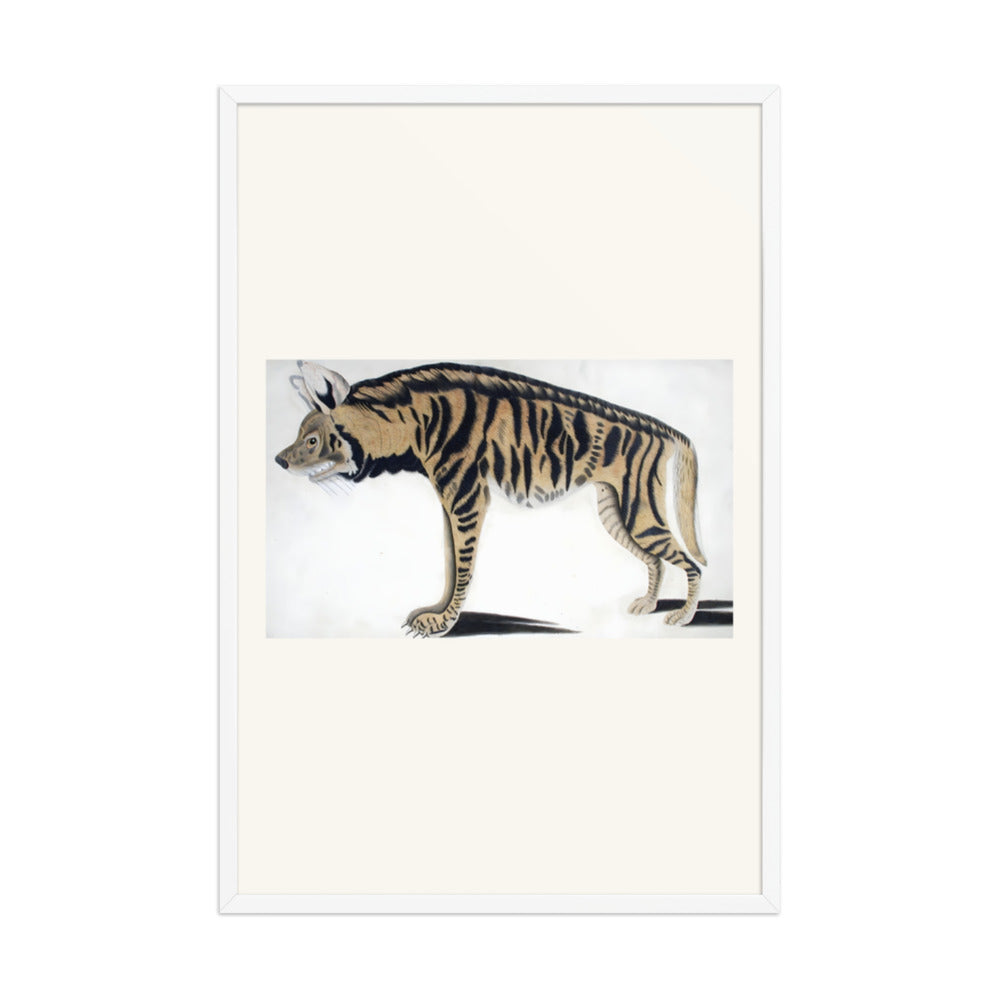 Hyena — view 9