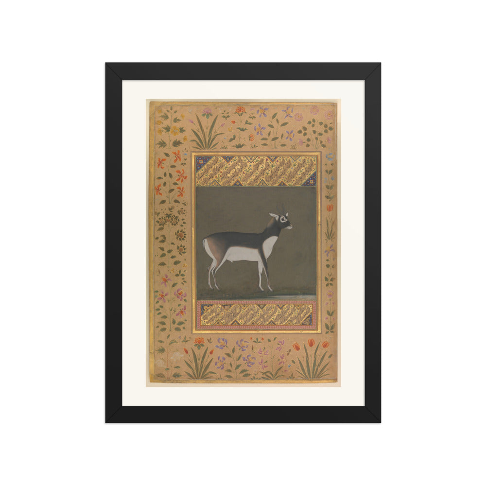 Black Buck — Shah Jahan Album Folio | Restored Mughal Wall Art — view 2
