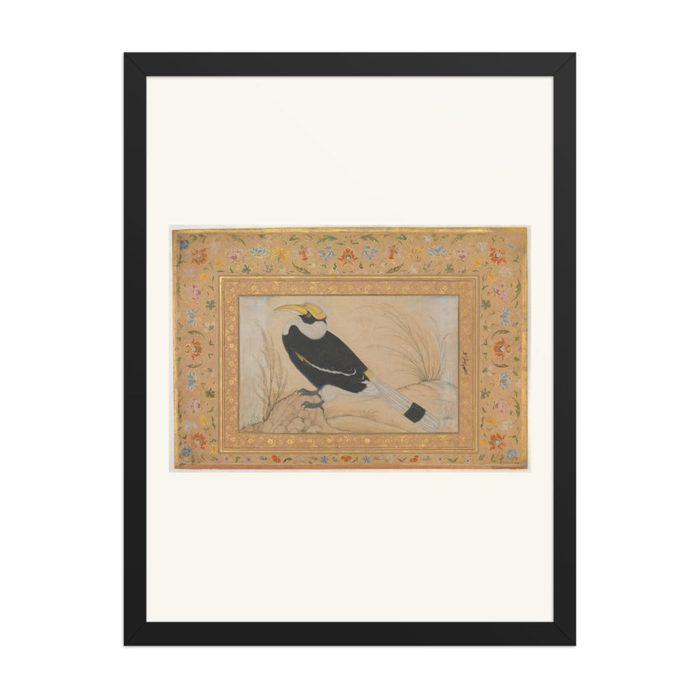 Great Hornbill — Shah Jahan Album Folio | Restored Mughal Wall Art — view 1