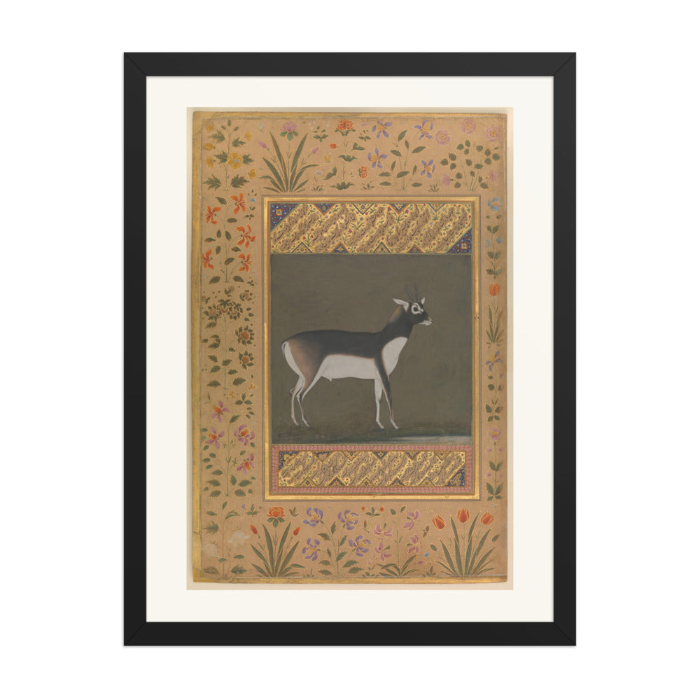 Black Buck — Shah Jahan Album Folio | Restored Mughal Wall Art — view 1
