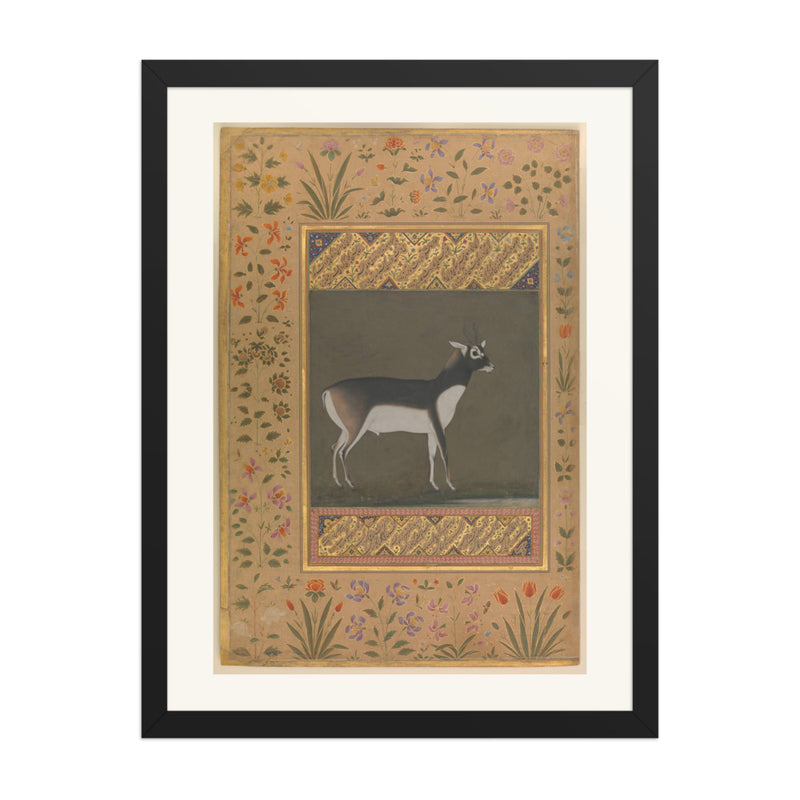 Black Buck — Shah Jahan Album Folio | Restored Mughal Wall Art