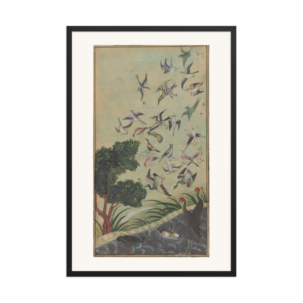 Birds at Baran — view 7