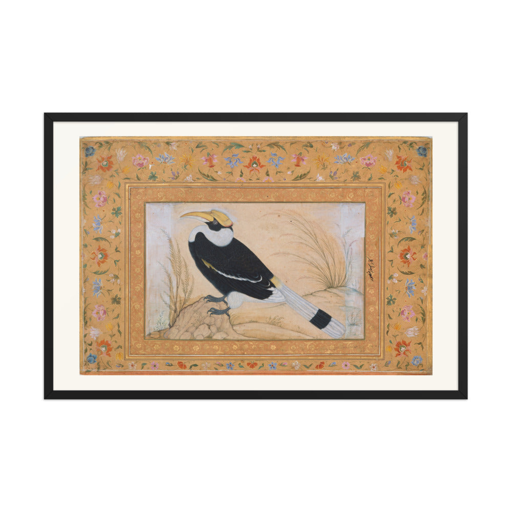 Great Hornbill, by Ustad Mansur | Restored Mughal Wall Art — view 8