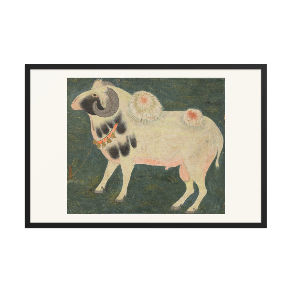 A royal ram with a gold chain — Restored Mughal Wall Art — view 8