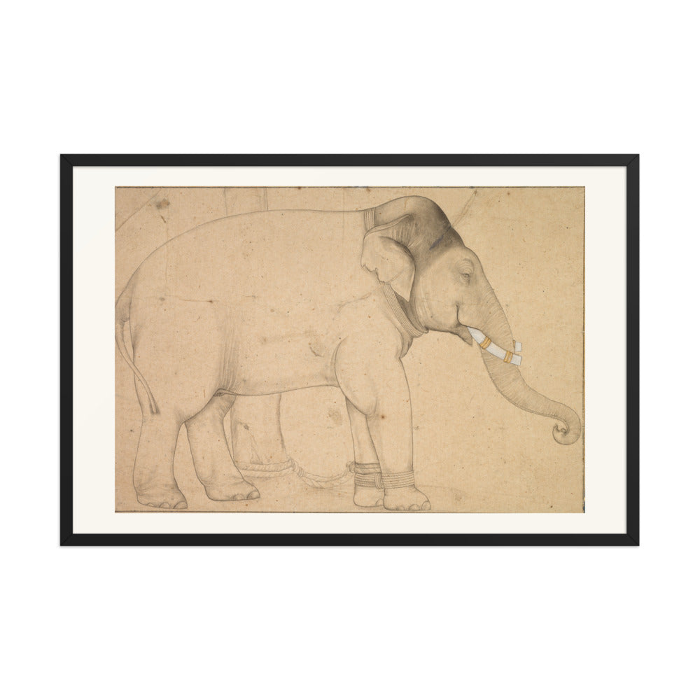 Drawing of an Elephant — view 8