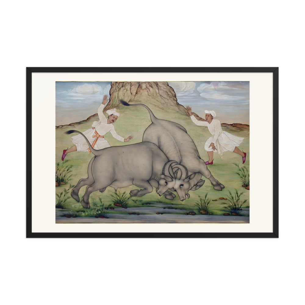A Fight Between Two Buffalo — view 8