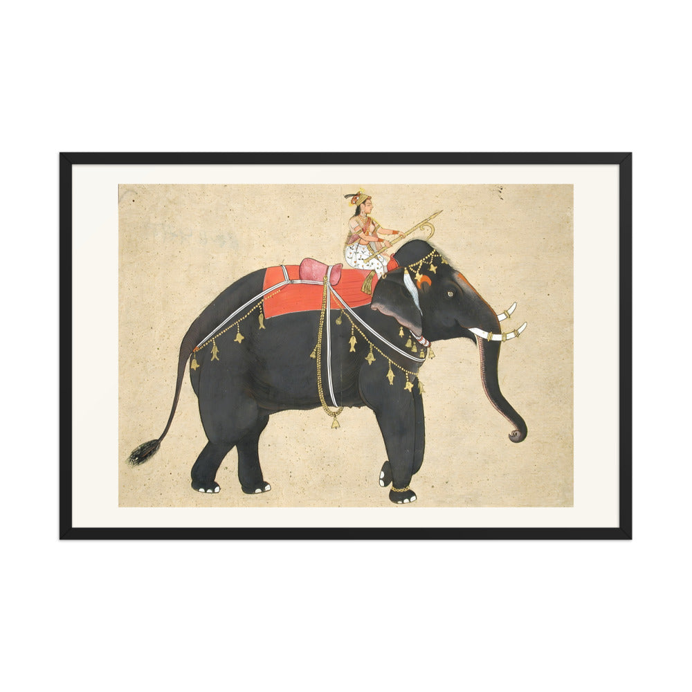 Elephant ridden by a female mahout — view 8