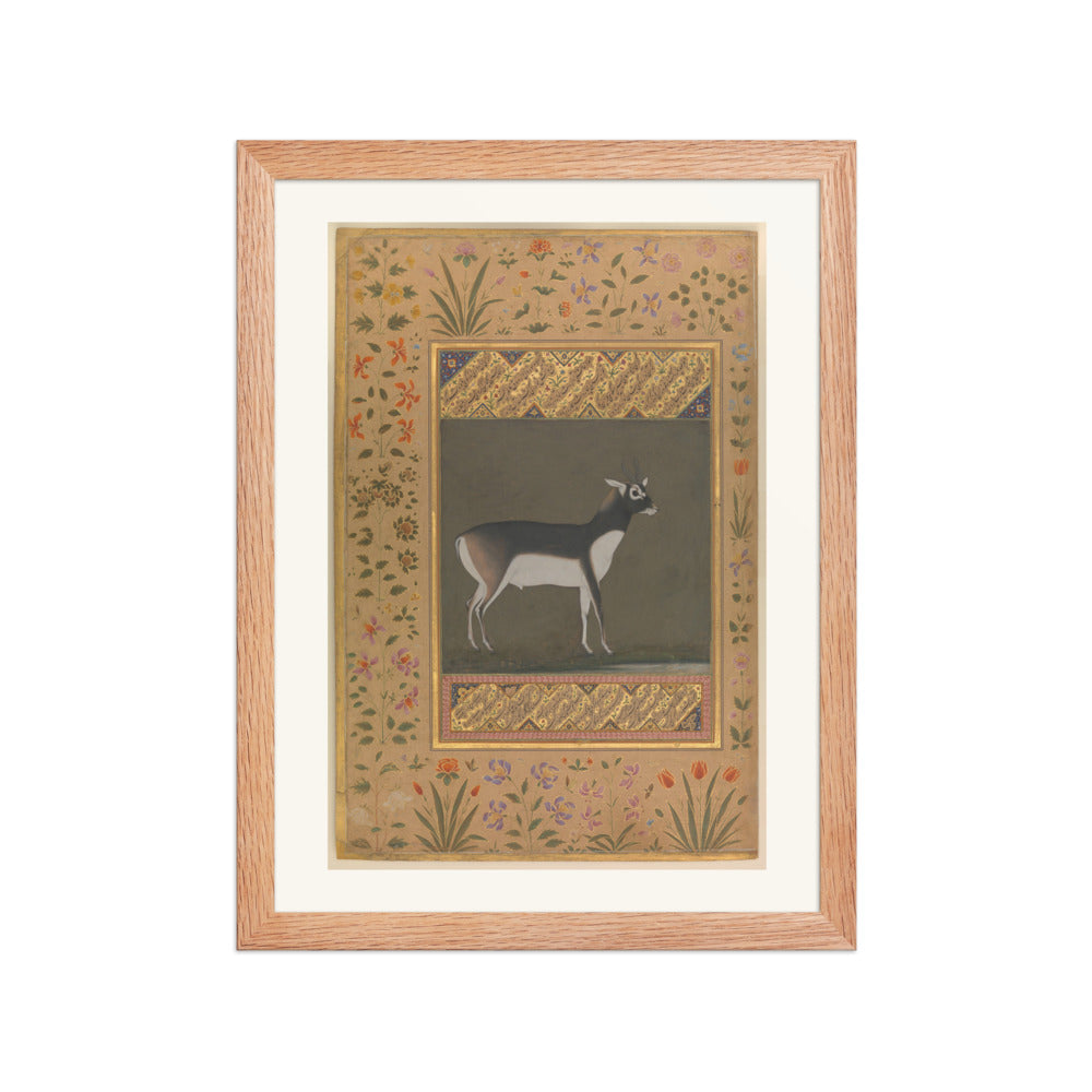 Black Buck — Shah Jahan Album Folio | Restored Mughal Wall Art — view 4