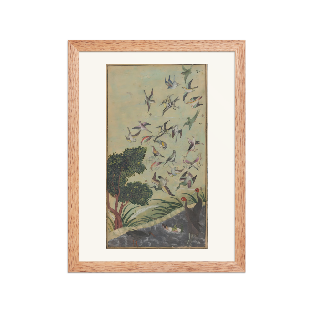 Birds at Baran — view 2